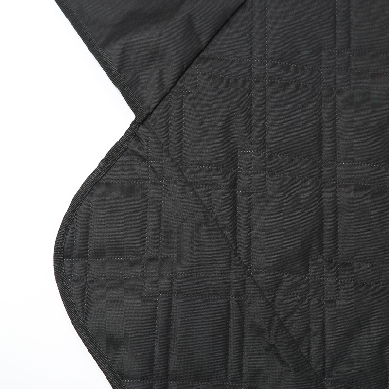 Pet Pad for Tesla Model 3 High - Travel Accessories For Dogs 评论和价格
